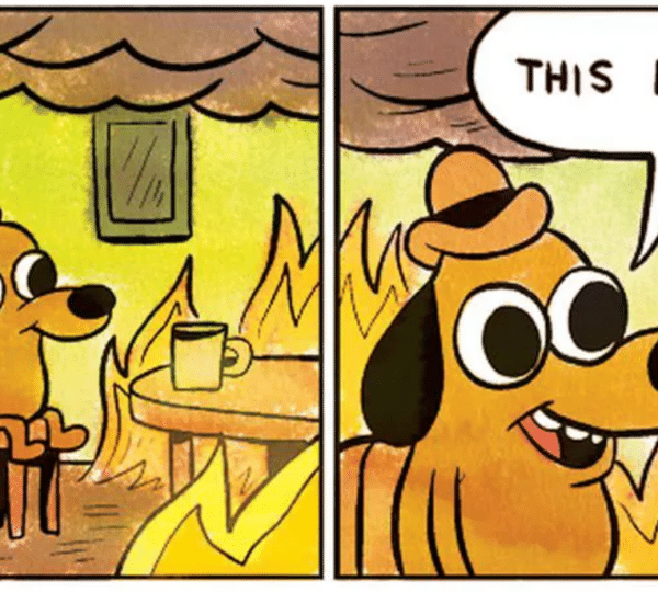 A dog inside a house on fire, saying "This is fine".